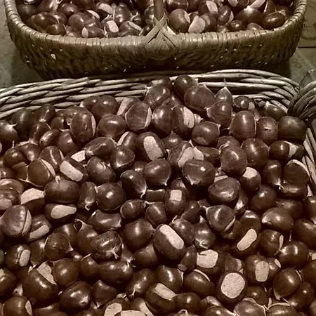 Lo Scoiattolo * 贾韦诺