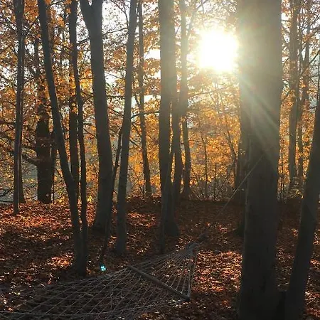 酒店 Lo Scoiattolo